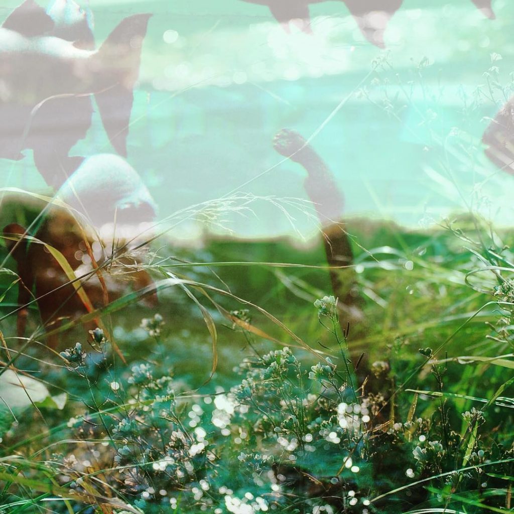 Eres como una bella especie exótica invasora, abriéndote paso entre los bosques de posidonia&hellip;
