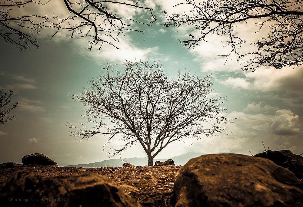 Zona arqueológica Guachimontones, Teuchitlan, Jalisco, México #guachimontones #jalisco #landscape #mexico #mextagram #coloresdemexico #mexicoesmagia #capturamexico&hellip;
