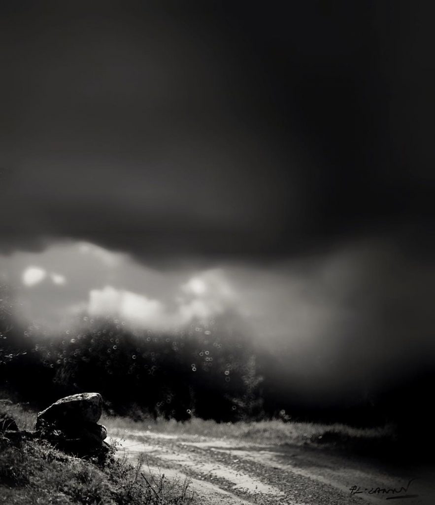 #fotoartistiche #bnesimppl #fotartplgz #pierluigizag Edited with: @carbonblackandwhite _ #landscape #amazing #view #trip #tree #sky&hellip;