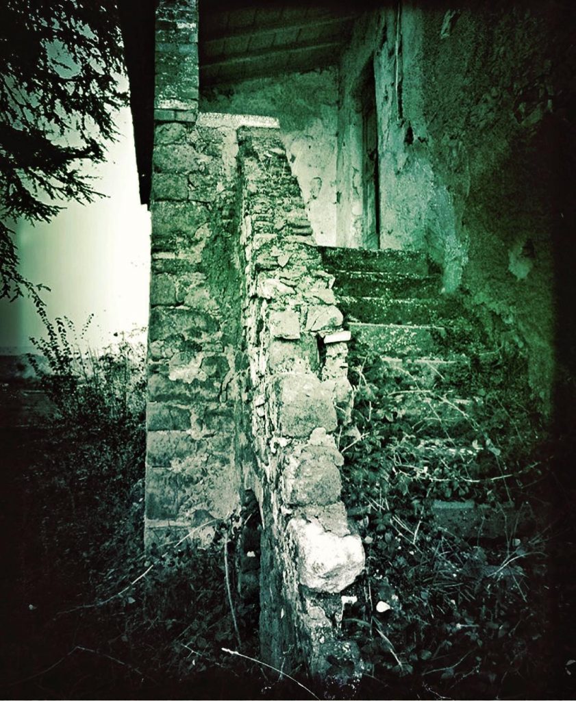 #fotoartistiche #fotartplgz #traveldestinations_ig #bnesimppl Edited with: @carbonblackandwhite _ #landscape #amazing #view #trip #tree #sky&hellip;