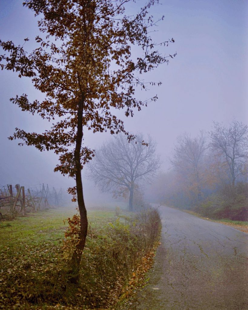 #fotoartistiche #bnesimppl #fotartplgz #pierluigizag Edited with: @carbonblackandwhite _ #landscape #amazing #view #trip #tree #sky&hellip;