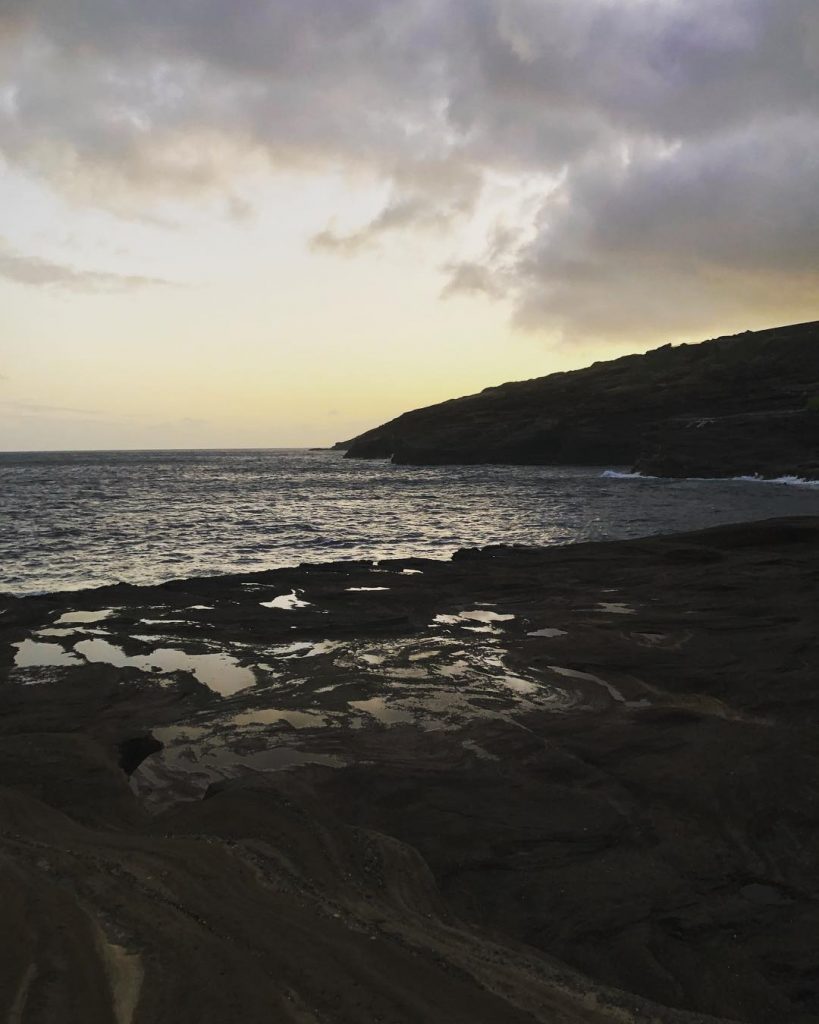 I have found that if you love life, life will love you back