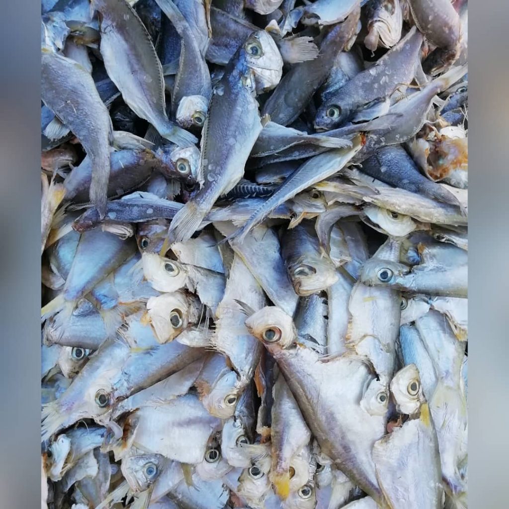 The malay loves to Eat dried stuff. One of the absolutte favourite is All&hellip;