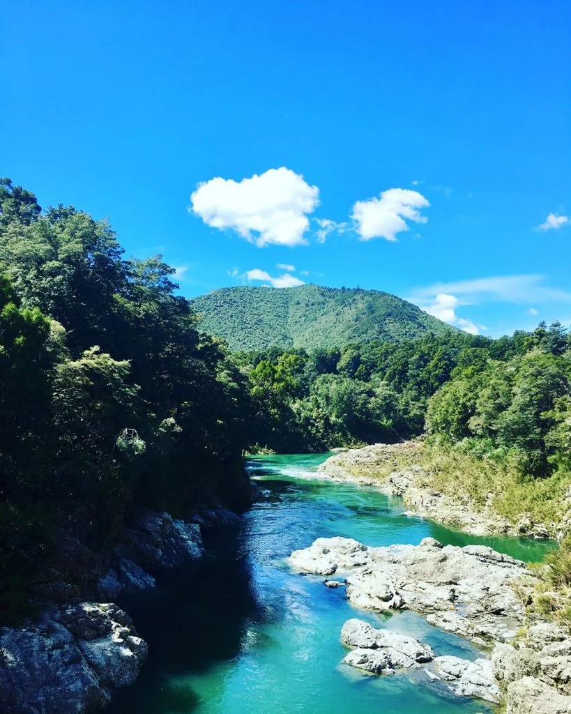 Pelorus River, New Zealand #csmidlifegapyear #memories #travel #travelblogger #travelbug #tbt #photo #adventure #amemoryaday #photooftheday&hellip;
