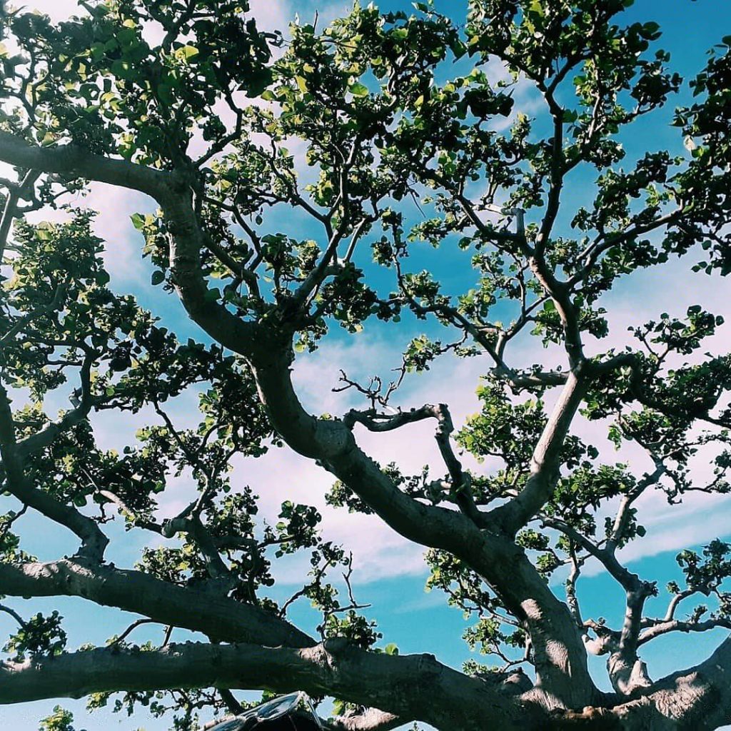 Up here, free breezes carried the scent of freedom. . . . . .&hellip;