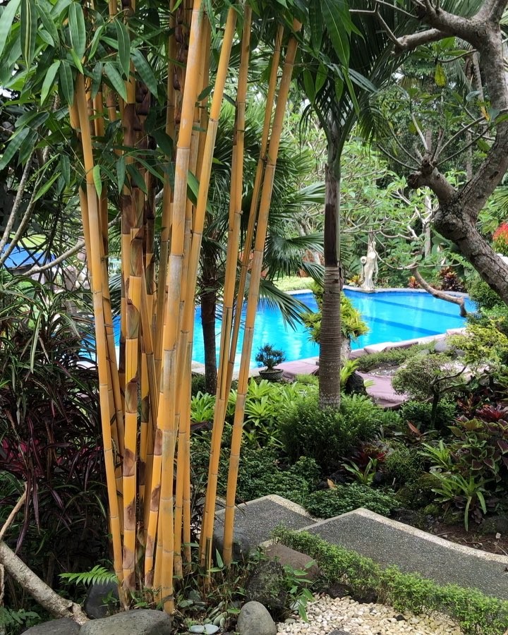 ⭕️⬆️Live life with no excuses, travel with no regret ⭕️⭕️⭕️⭕️⭕️⭕️⭕️⭕️ ••••••••••••• ‍️Discover my Journey&hellip;