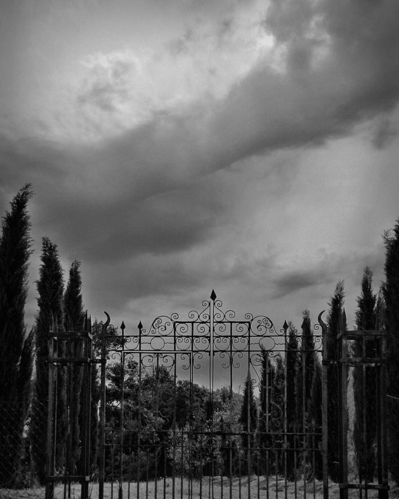 #fotoartistiche #bnesimppl #fotartplgz #pierluigizag Edited with: @carbonblackandwhite _ #landscape #amazing #view #trip #tree #sky&hellip;