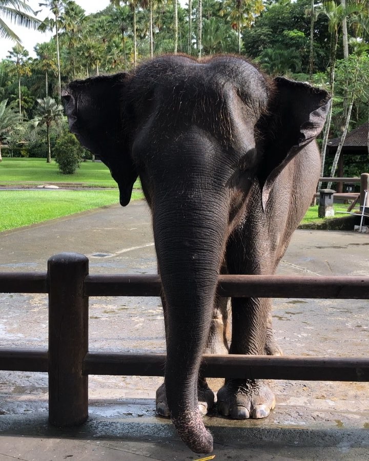 ⭕️If you think adventures are dangerous, try routine: It’s Lethal. ••••••••••••• ‍️Discover my Journey&hellip;