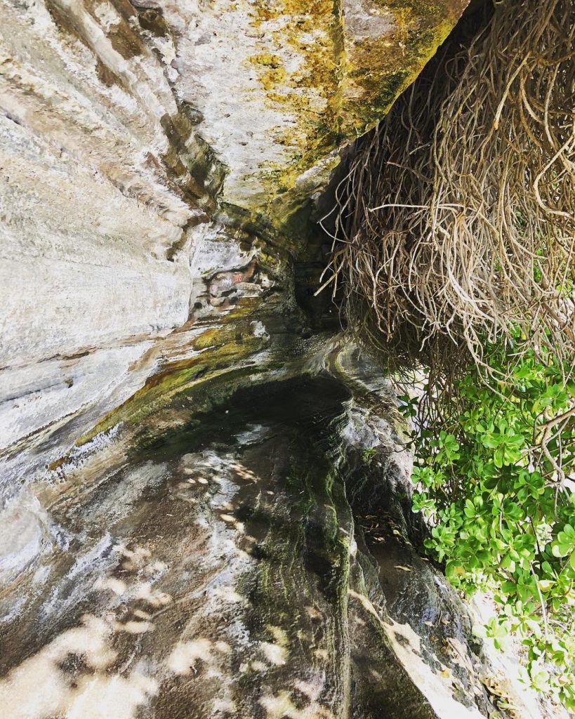 This secret passage-way created by the natural plants overgrowing the lava rocks was very&hellip;