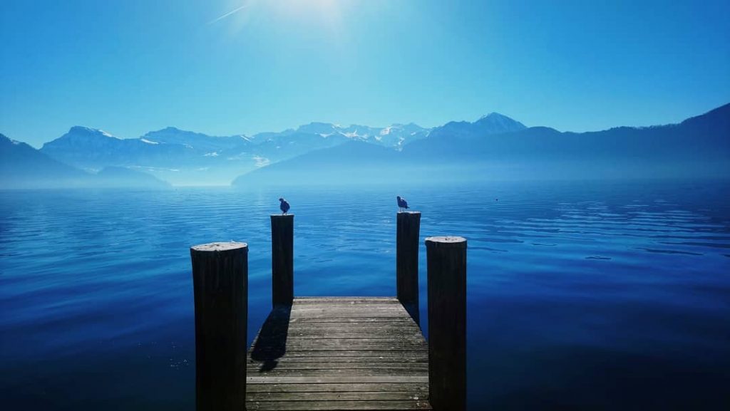 #swiss #switzerland???????? #naturephotography #mountains #travelblogger #travelholic #travelgram #travelphotography #travel #alpen #swissalps #wanderlust #wandern #swissalps????????&hellip;