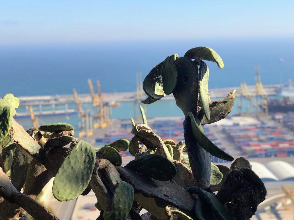 Kaktüsleri çok seviyorum bana çok estetik görünüyorlar. Ve Barcelona’da onları görmek çok kolay ????&hellip;