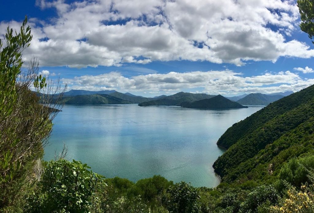 Picton, New Zealand #csmidlifegapyear #memories #travel #travelblogger #travelbug #tbt #photo #adventure #amemoryaday #photooftheday #apictureaday &hellip;