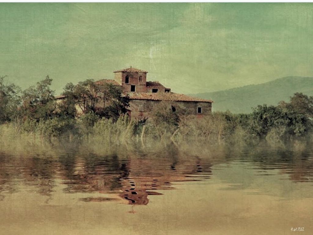 #fotartplgz #traveldestinations_ig #bnesimppl #valdichiana Edited with: @carbonblackandwhite _ #landscape #amazing #view #trip #tree #sky&hellip;