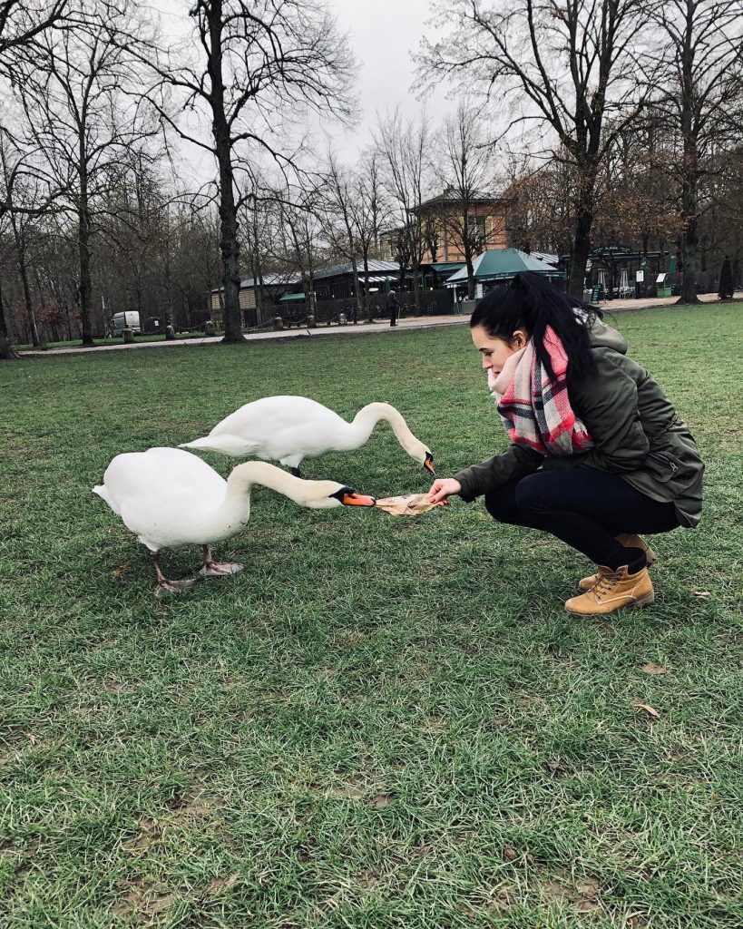 Your wings already exist .. all you have to do is fly . #swan&hellip;