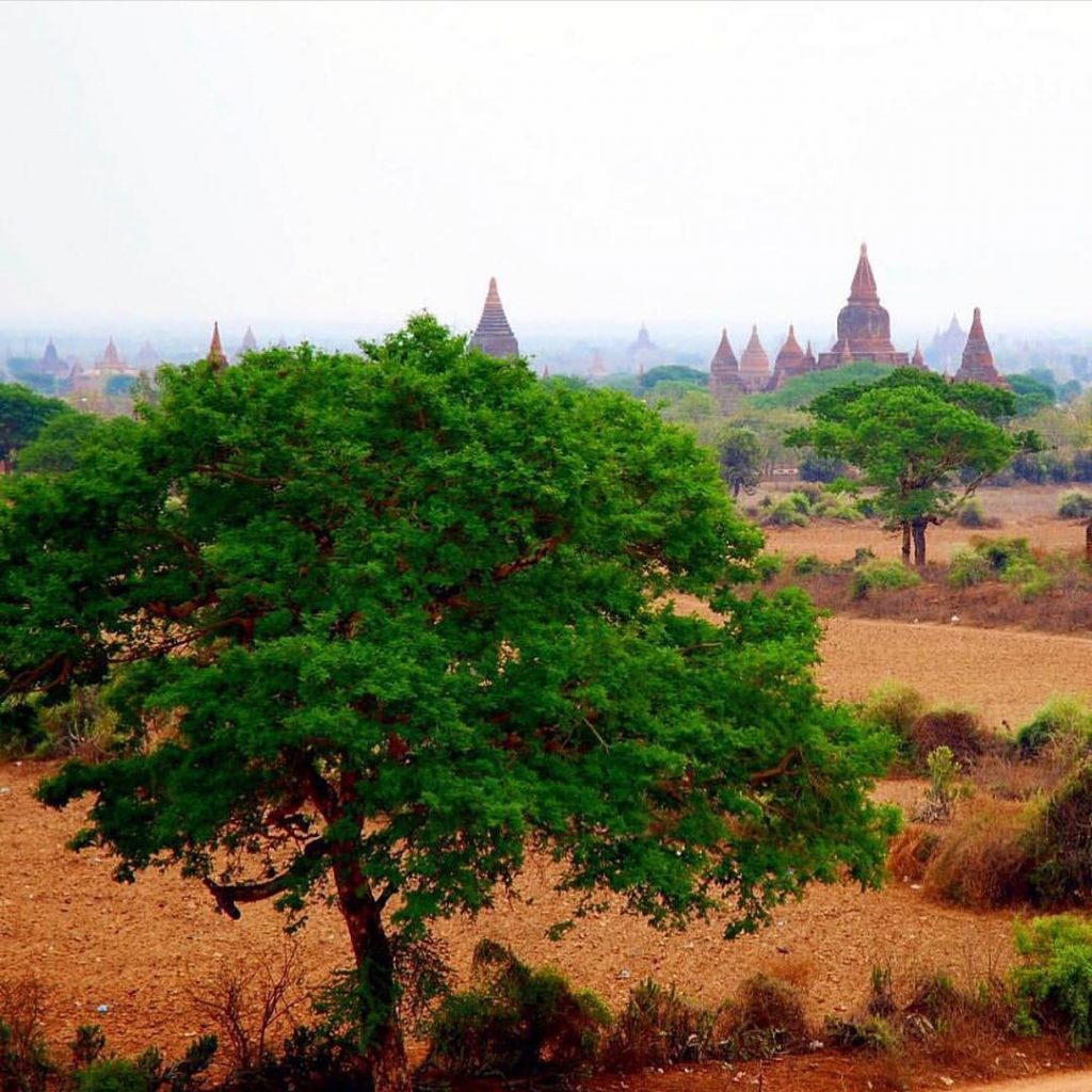 Пагоды в Мьянме повсюду, куда не посмотри, счет идет на миллионы. Именно поэтому ее&hellip;