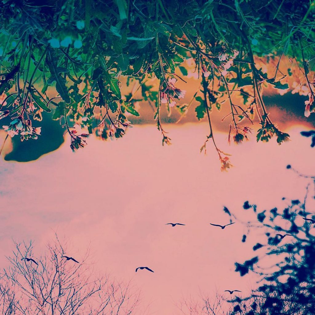 Seguir imaginando lugares en los que nuestra realidad no pasaría el arco de control&hellip;