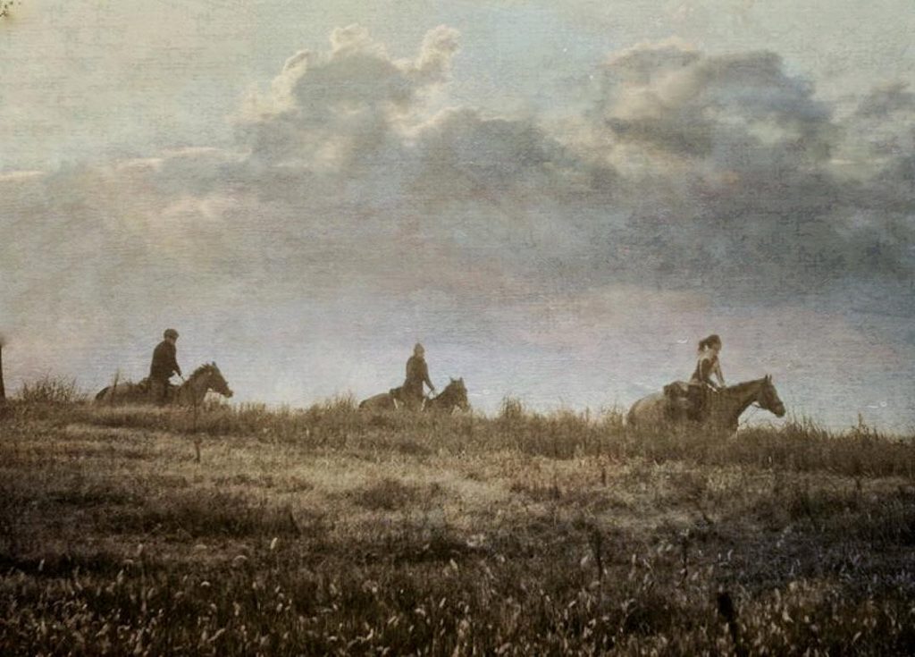 #fotartplgz #traveldestinations_ig #bnesimppl #valdichiana Edited with: @carbonblackandwhite _ #landscape #amazing #view #trip #tree #sky&hellip;