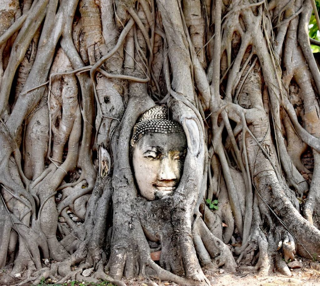 ️A Y U T T H A Y A️ ️ #love #travel #instagood #photooftheday&hellip;