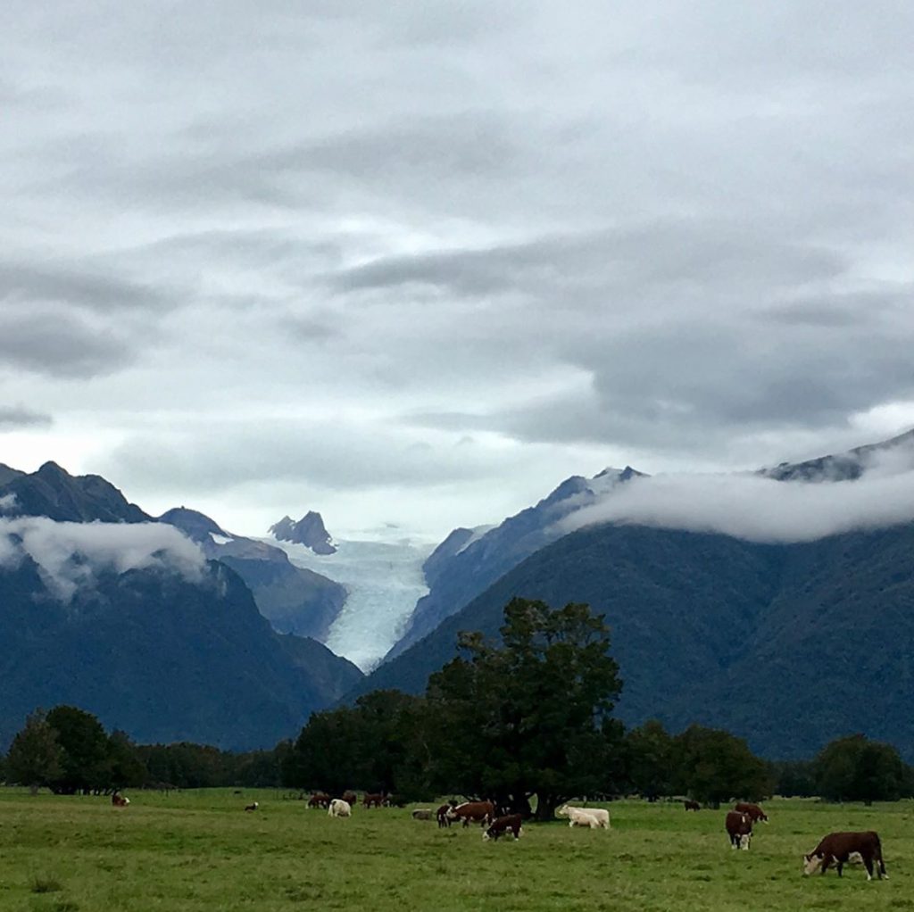 Fox Glacier, New Zealand #csmidlifegapyear #memories #travel #travelblogger #travelbug #tbt #photo #adventure #amemoryaday #photooftheday&hellip;