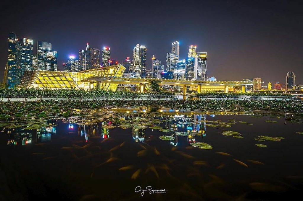 Welcome to Singapore. Singapore cityscape . Beautiful view of singapore city with fish on&hellip;