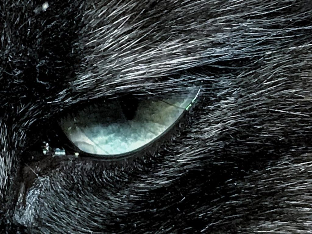 #fotartplgz #biancoenero #traveldestinations_ig #bnesimppl Edited with: @carbonblackandwhite _ #photo #photos #nikon #pics #picture #pictures&hellip;