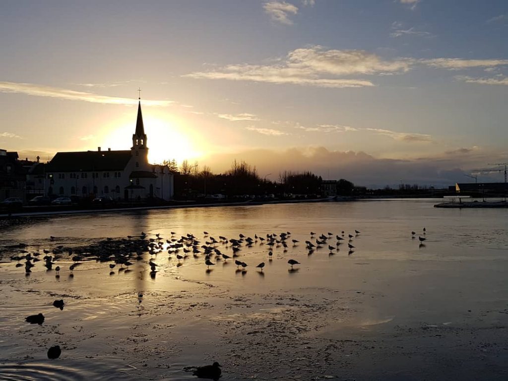 #sunrise in #reykjavik #iceland???????? #iceland #goldencircle #travelphotography #traveling #travelgram #travel #trip #voyage #sunlight #fireandice&hellip;