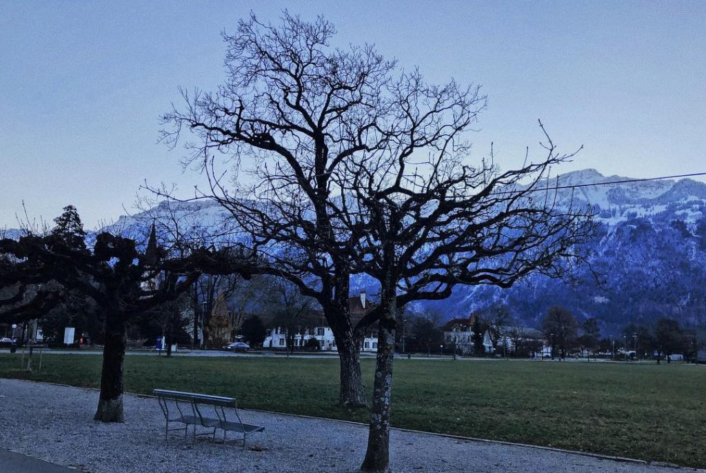 cold winter mornings in switzerland ???? – #switzerland #bnesimppl #tb #snow #naturephotography #bestoftheday #travelphotography&hellip;