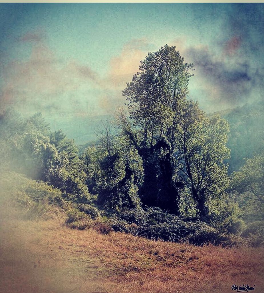 #fotartplgz #traveldestinations_ig #bnesimppl Edited with: @carbonblackandwhite _ #weather #skylovers #natureporn #amazing #skypainters #gf_daily #light&hellip;