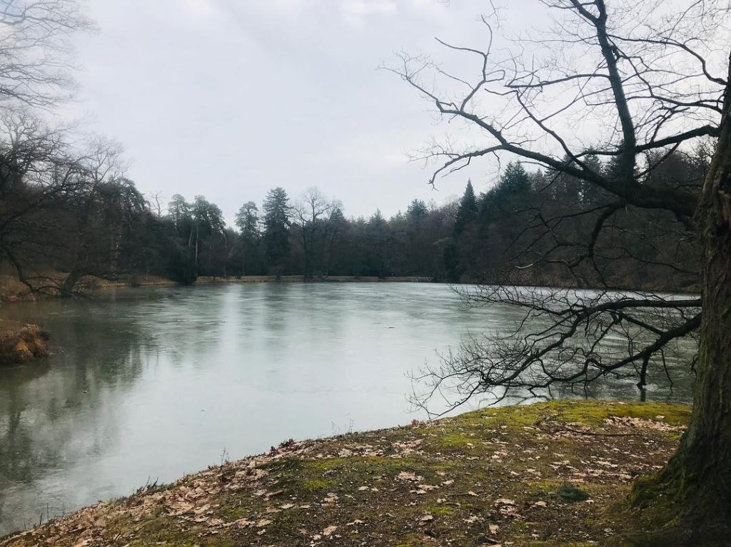 Už půl roku tu bydlím a až teď jsem objevila kouzlo Průhonického parku. Na&hellip;