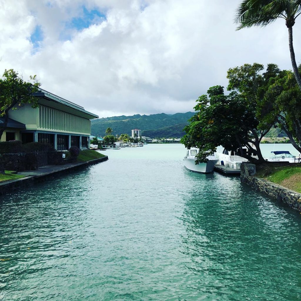 I found a new lunch spot today ️