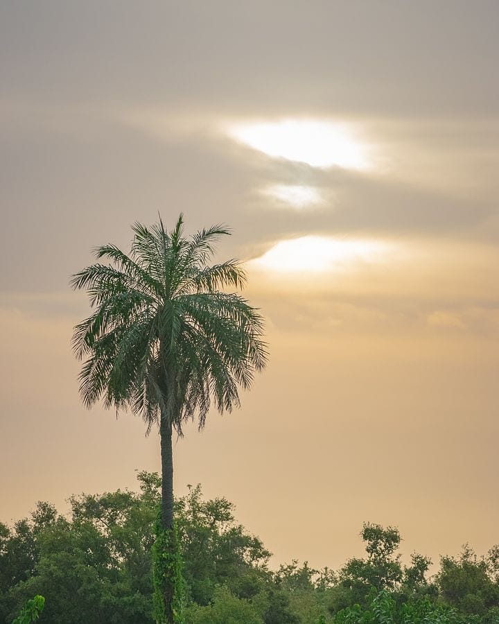 To get from the north-western part of the Gambia to the north-eastern part, we&hellip;