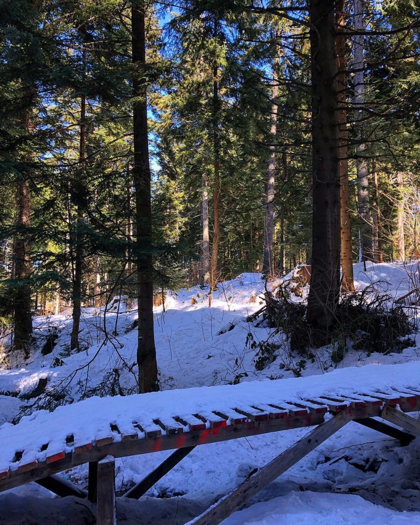 This holiday was it’s time for another one ️ . . . . .&hellip;