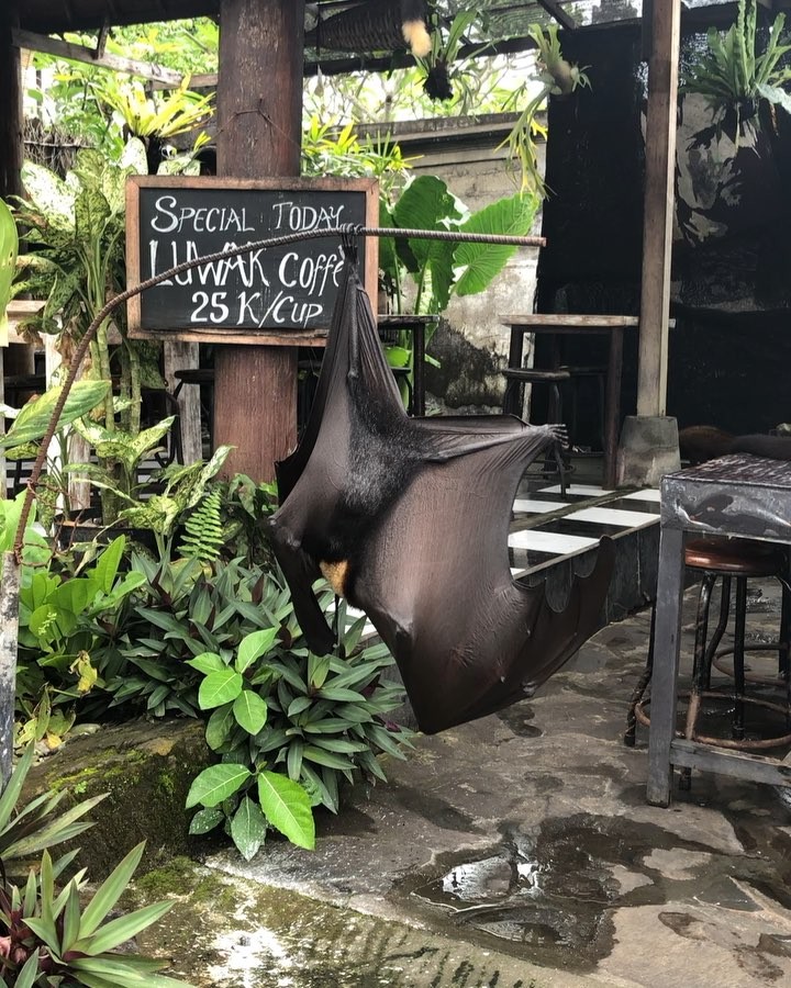 ⭕️⬆️Live life with no excuses, travel with no regret ⭕️⭕️⭕️⭕️⭕️⭕️⭕️⭕️ ••••••••••••• ‍️Discover my Journey&hellip;