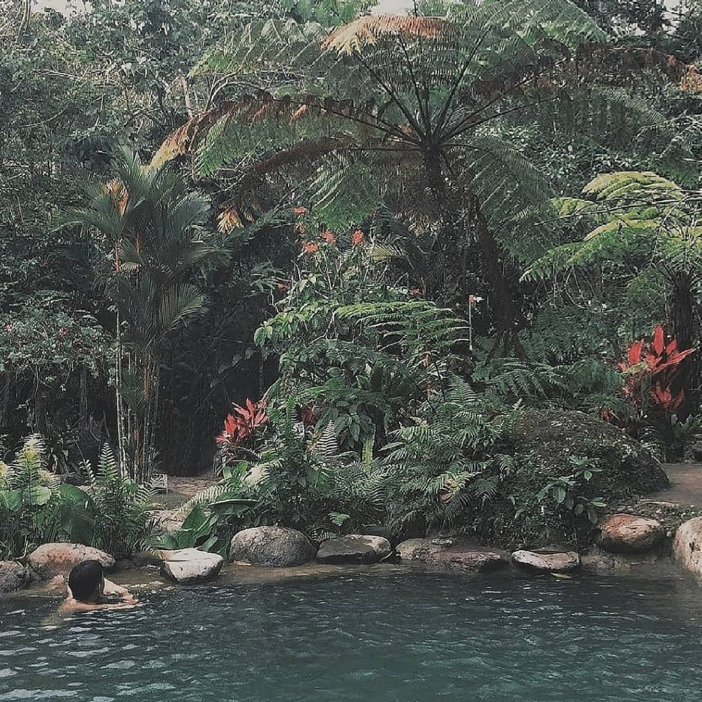 Wandering . . . . . . . . . . . . .&hellip;