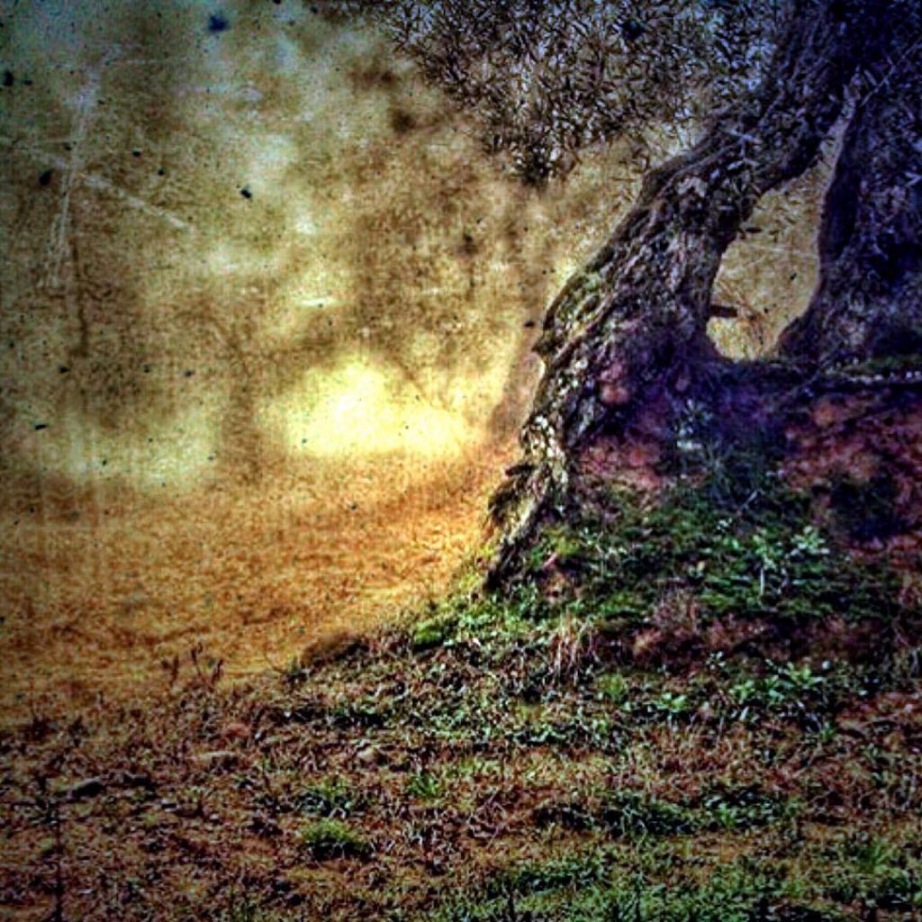 #fotartplgz #traveldestinations_ig #bnesimppl Edited with: @carbonblackandwhite _ #landscape #amazing #view #trip #tree #sky #mountains&hellip;