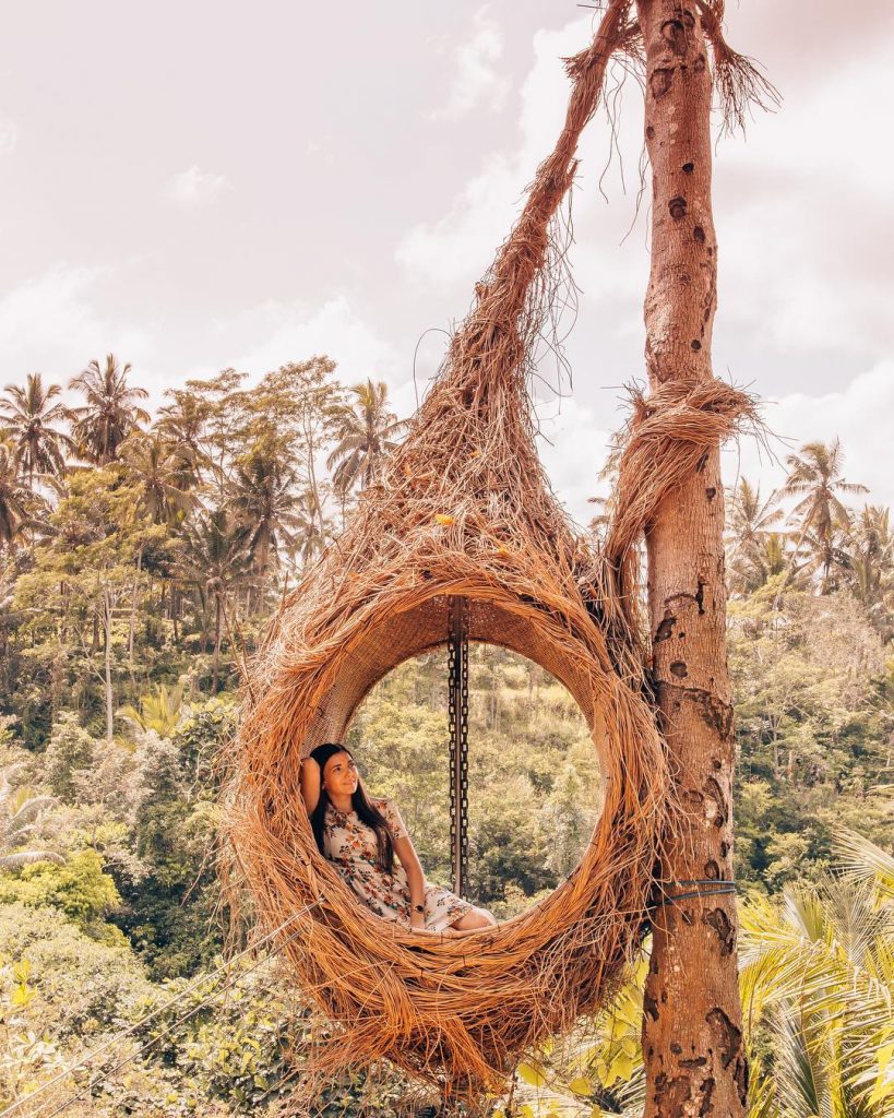 I always wonder why birds stay in the same place when they can fly&hellip;