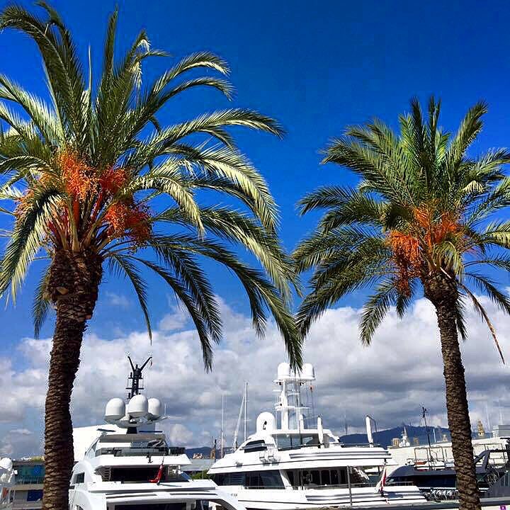 ⭕️Man cannot discover new oceans unless he has the courage to lose sight of&hellip;