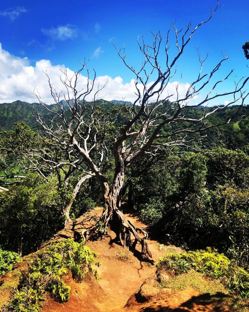 “Given the choice between the experience of pain and nothing, I would choose pain.”&hellip;