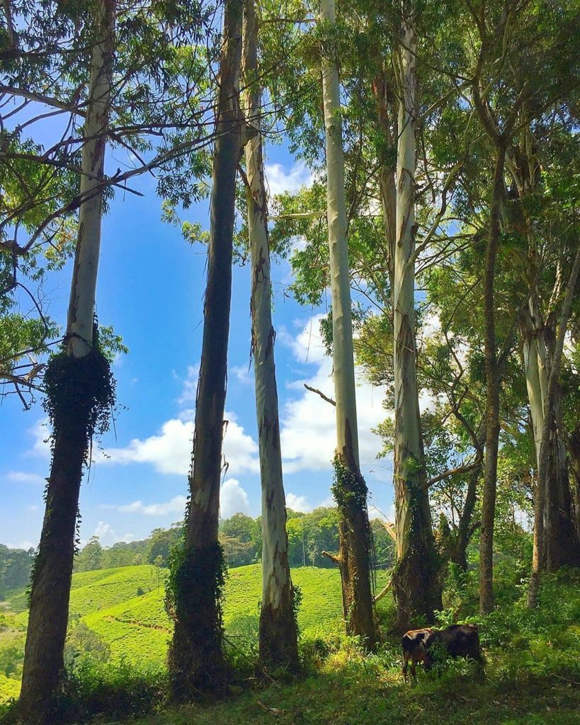 #bnesimppl #travellife #travelguide #travelphotography #travelblogger #travel #traveling #me #vacation #visiting #instatravel #instago #instagood #trip&hellip;