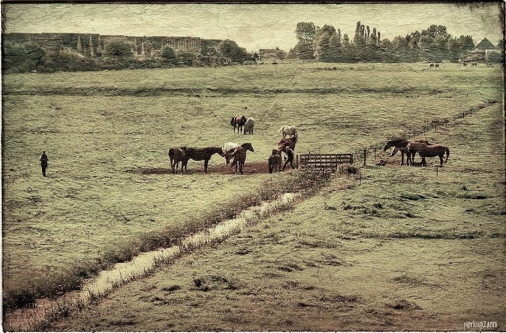 #fotoartistiche #fotartplgz #traveldestinations_ig #bnesimppl Edited with: @carbonblackandwhite _ #travel #traveling #vacation #visiting #instatravel #instago&hellip;