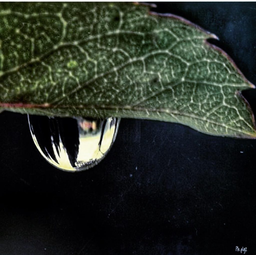 #fotartplgz #traveldestinations_ig #bnesimppl Edited with: @carbonblackandwhite _ #weather #skylovers #natureporn #amazing #skypainters #gf_daily #light&hellip;