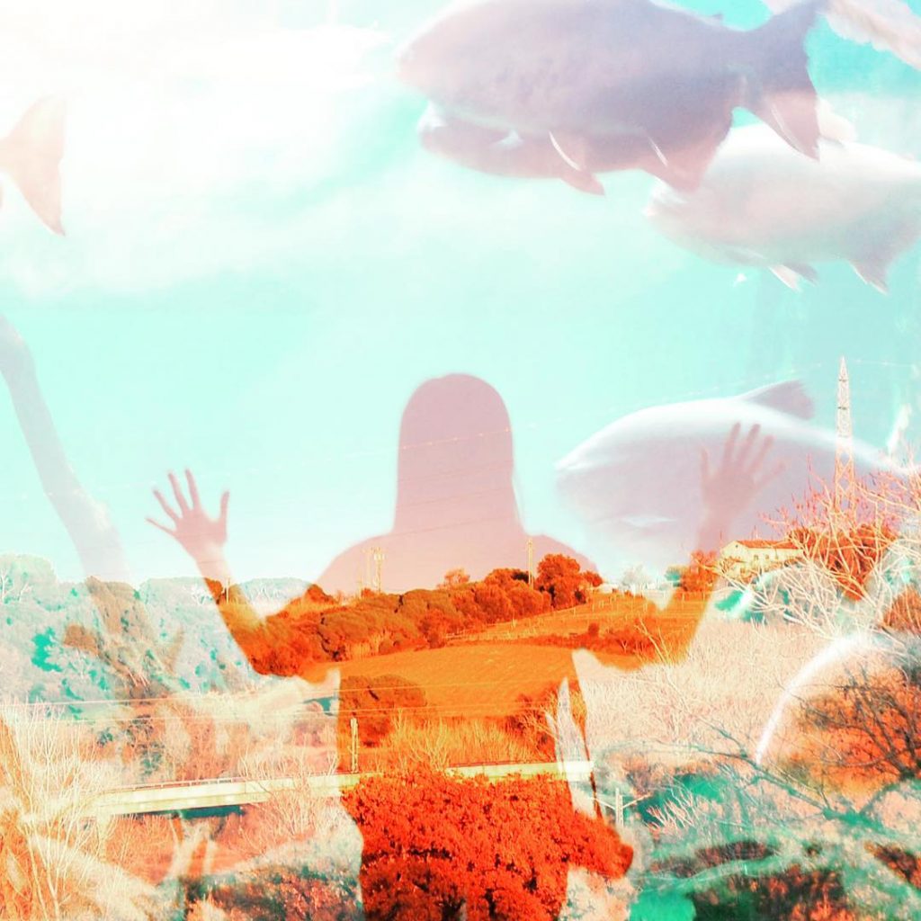 Conectas con la lentitud de sus movimientos, con su mutismo, con su aparente simplicidad,&hellip;