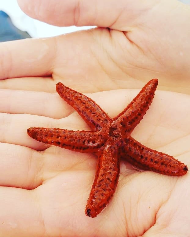 Essa do foi salva e devolvida ao seu hábitat natural. Coisinha mais lindha que&hellip;