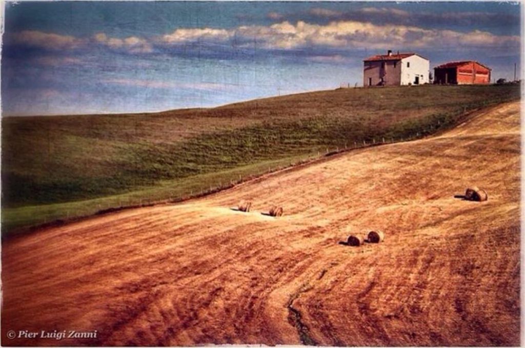 #fotoartistiche #fotartplgz #traveldestinations_ig #bnesimppl Edited with: @carbonblackandwhite _ #landscape #amazing #view #trip #tree #sky&hellip;