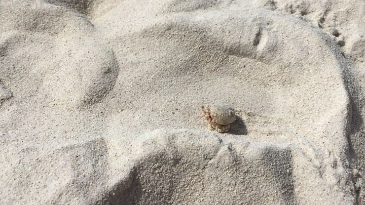 ⭕️We live in a wonderful world that is full of beauty, charm and adventure.&hellip;