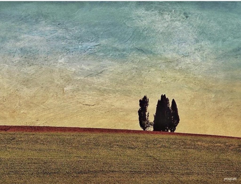 #fotartplgz #traveldestinations_ig #bnesimppl #valdichiana Edited with: @carbonblackandwhite _ #landscape #amazing #view #trip #tree #sky&hellip;