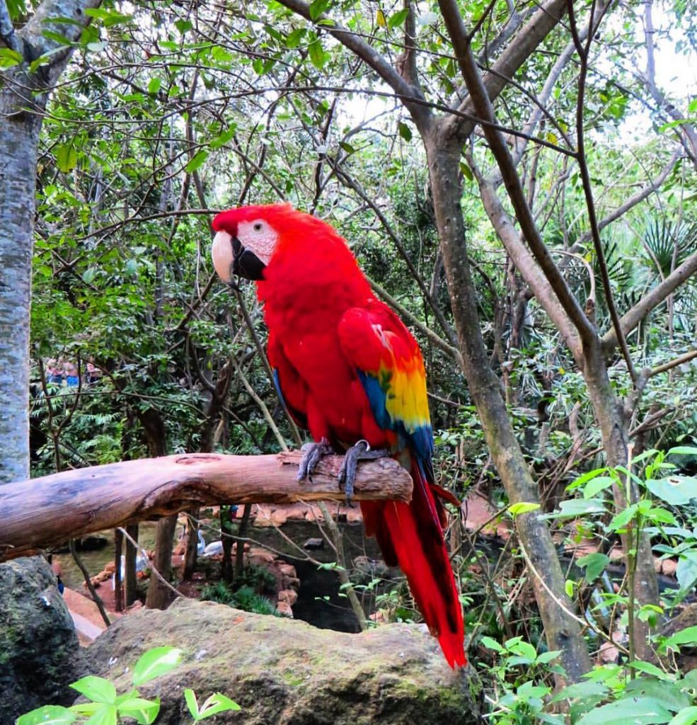 ⭕️If you think adventures are dangerous, try routine: It’s Lethal. ••••••••••••• ‍️Discover my Journey&hellip;