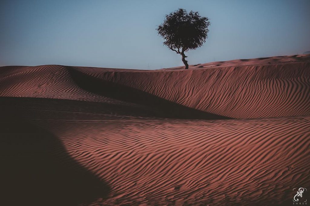 Standing If you stand for a reason, be prepared to stand like a tree.…