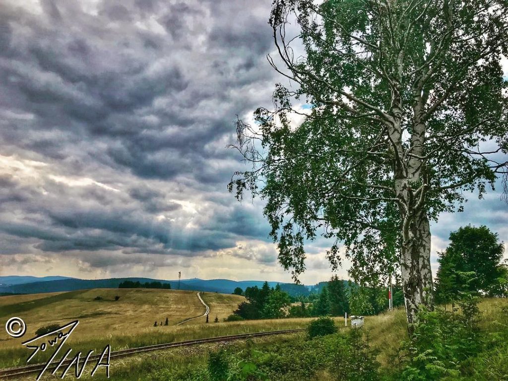 the watching #germany #saxony #schönheide #pictureoftheday #life #sky #travelphotography #traveling #reisen #travelgram #instatravel #grass…