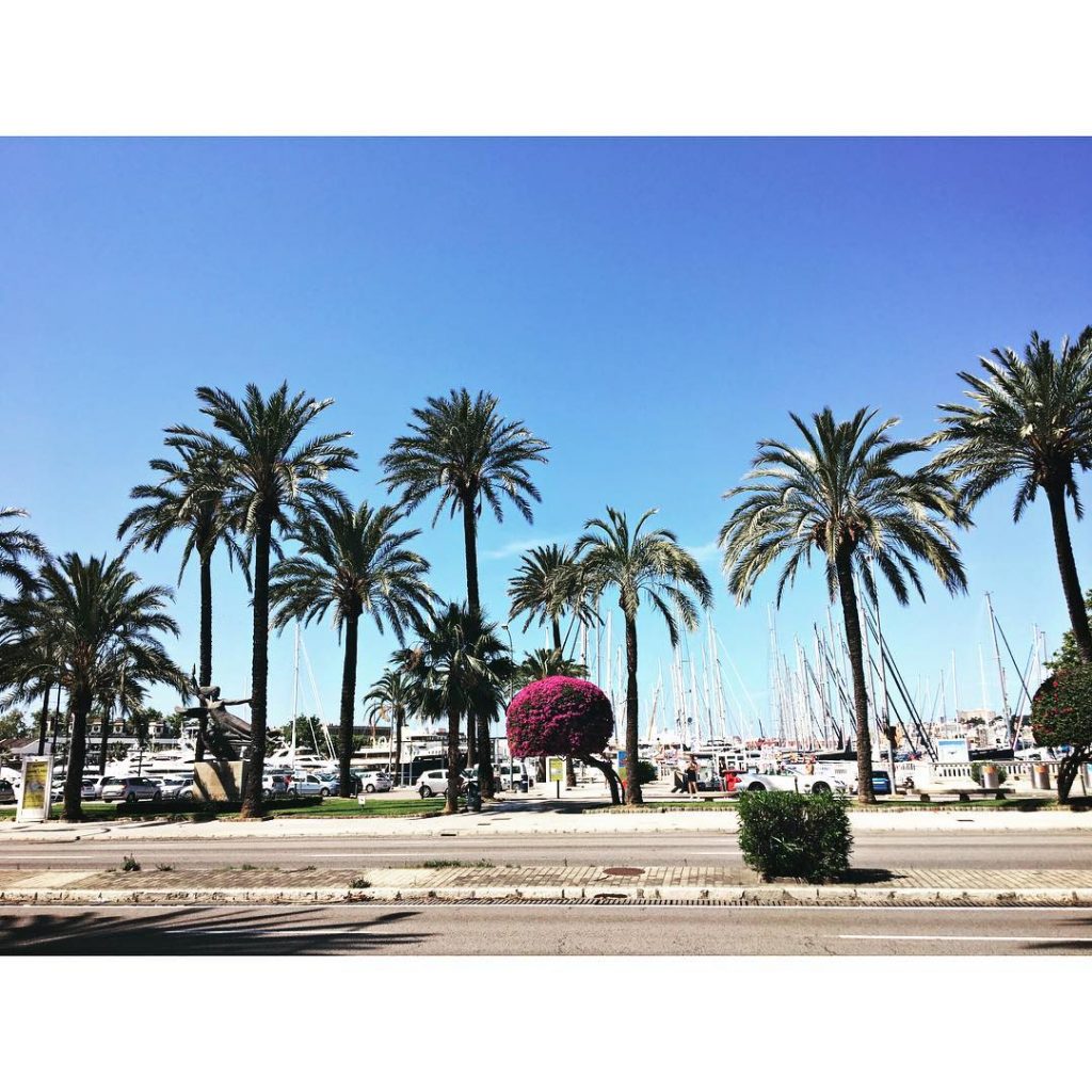 s u m m e r l o v e ️ #palma #palmademallorca #spain…